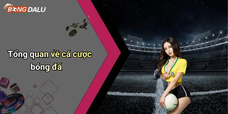 Tổng quan về cá cược bóng đá