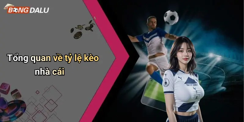 Tổng quan về tỷ lệ kèo nhà cái