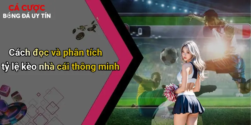 Cách đọc và phân tích tỷ lệ kèo nhà cái thông minh