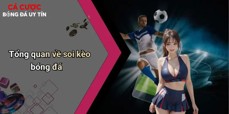 Tổng quan về soi kèo bóng đá