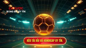 Nên chơi kèo bóng đá Tài Xỉu hay Handicap? Lựa chọn tối ưu 2024