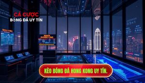 Kèo bóng đá Hong Kong: Cách đọc và kinh nghiệm soi kèo chuẩn 2024