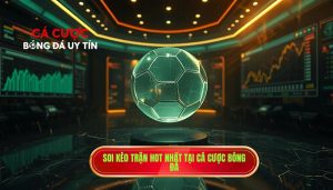 Soi kèo trận hot nhất - Bí kíp chiến thắng từ CÁ CƯỢC BÓNG ĐÁ