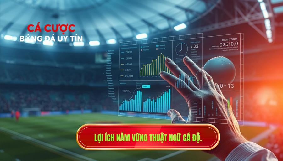 1. Lợi ích nắm vững thuật ngữ cá độ.