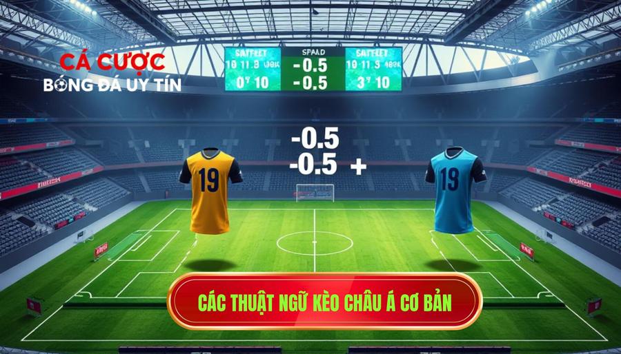 2. Các thuật ngữ kèo châu Á cơ bản