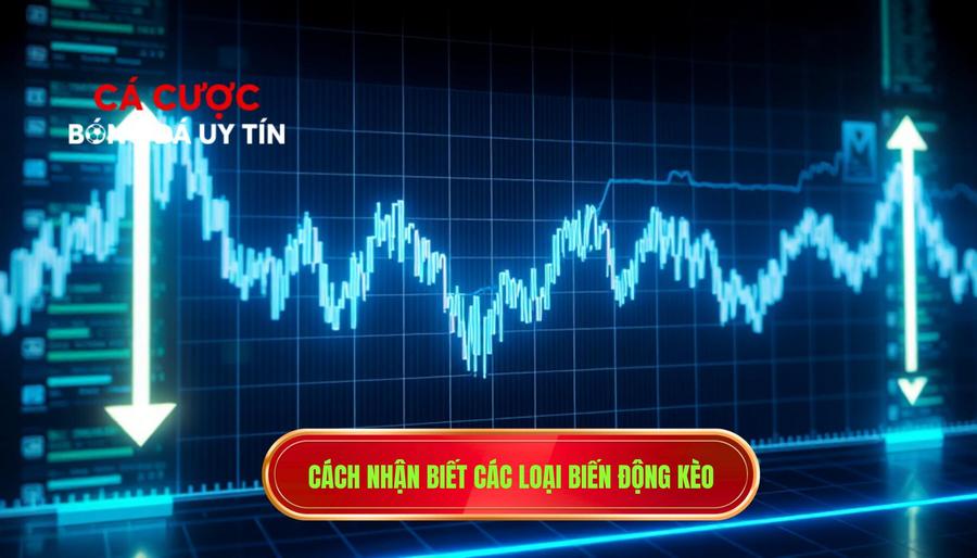 3. Cách nhận biết các loại biến động kèo