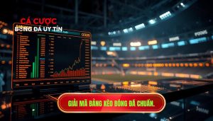 Giải mã bảng kèo bóng đá chuẩn.