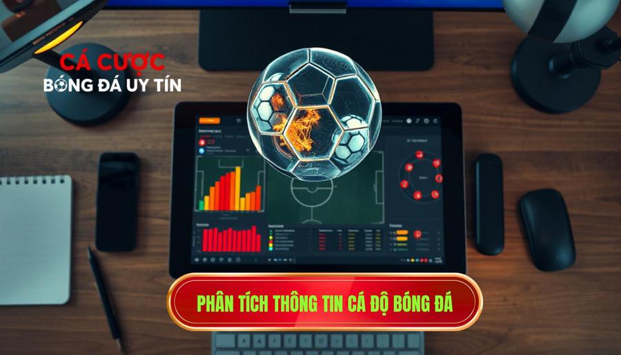 Mẹo cá độ bóng đá: Phân tích thông tin trước trận đấu